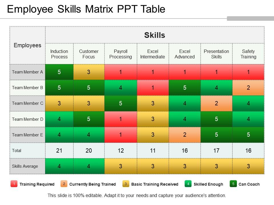 Detail It Skills Matrix Template Nomer 24