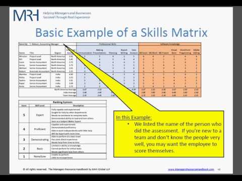 Detail It Skills Matrix Template Nomer 35