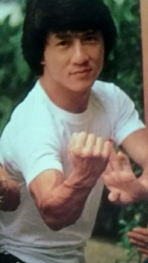 Detail Jackie Chan Images Download Nomer 53
