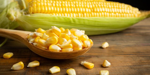 Detail Jagung Rebus Untuk Diet Nomer 24