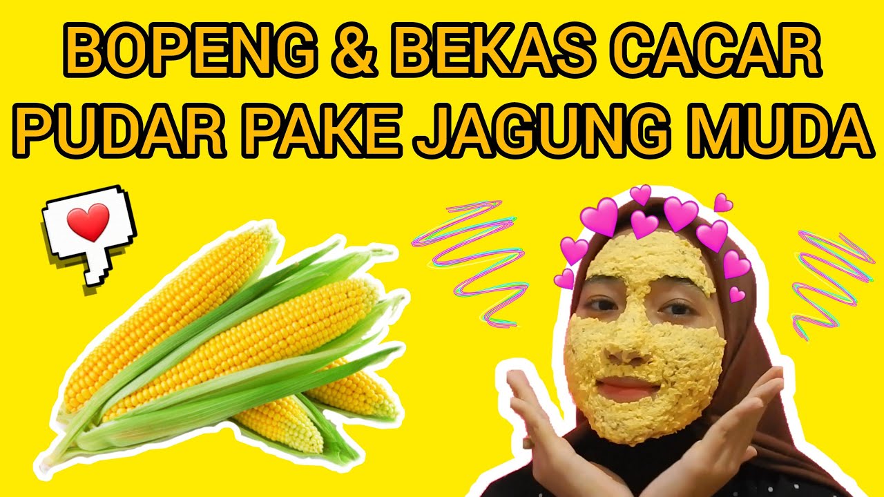 Detail Jagung Untuk Cacar Air Nomer 8