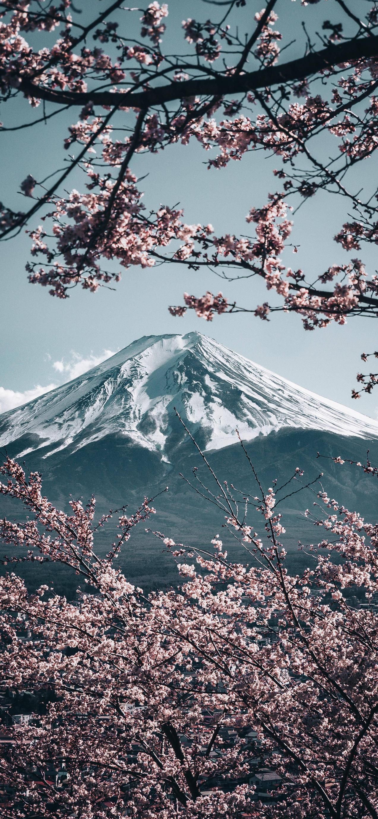 Japanese Iphone Wallpaper - 48+ Koleksi Gambar