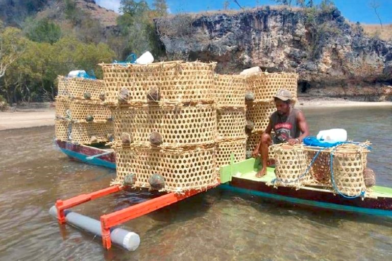 Detail Jaringan Untuk Menangkap Ikan Nomer 14