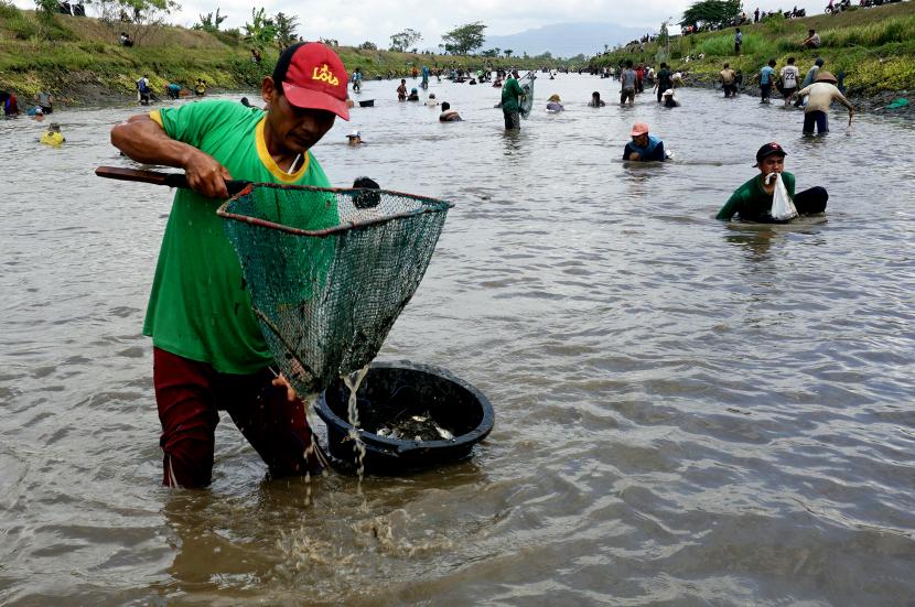 Detail Jaringan Untuk Menangkap Ikan Nomer 17