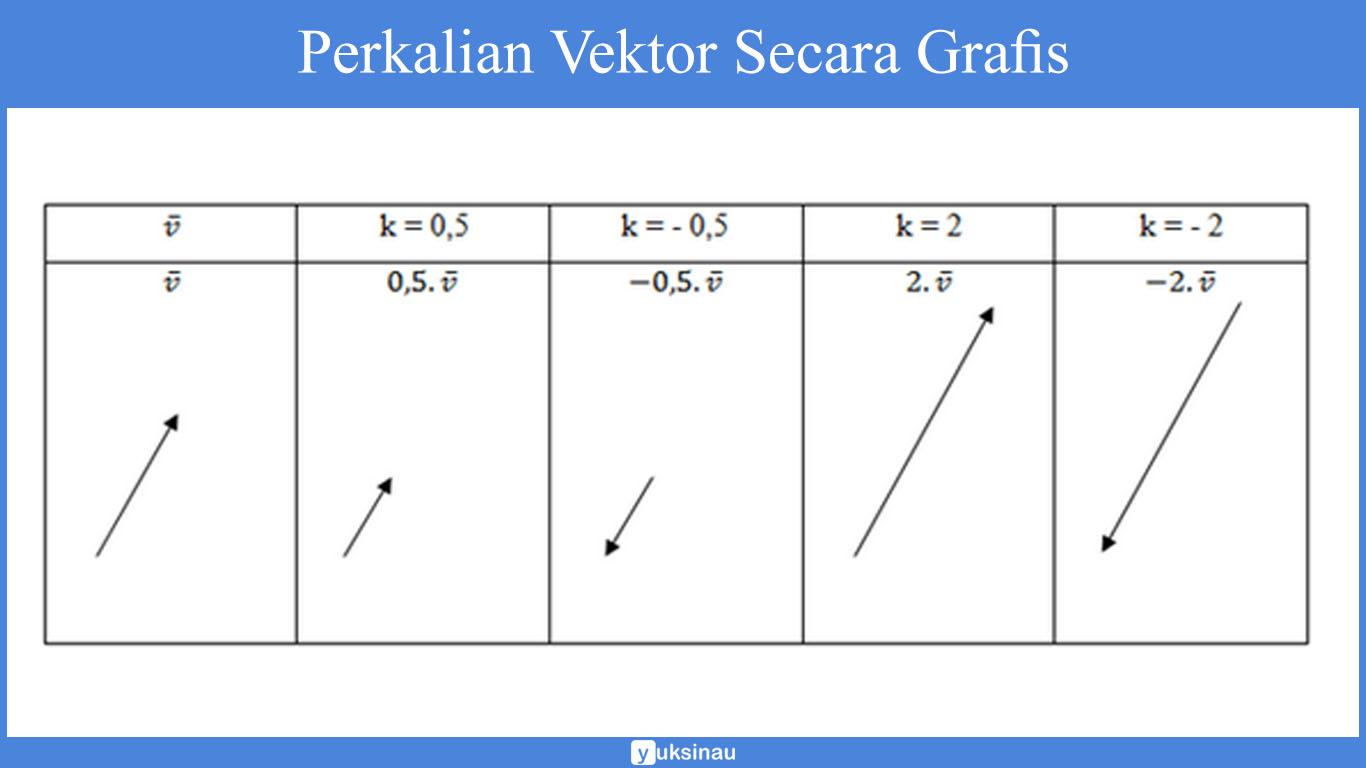 Detail Jenis Jenis Gambar Vektor Nomer 11