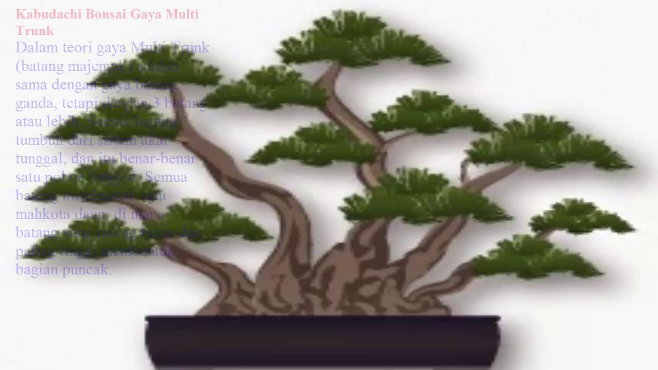 Detail Jenis Jenis Gaya Bonsai Nomer 10