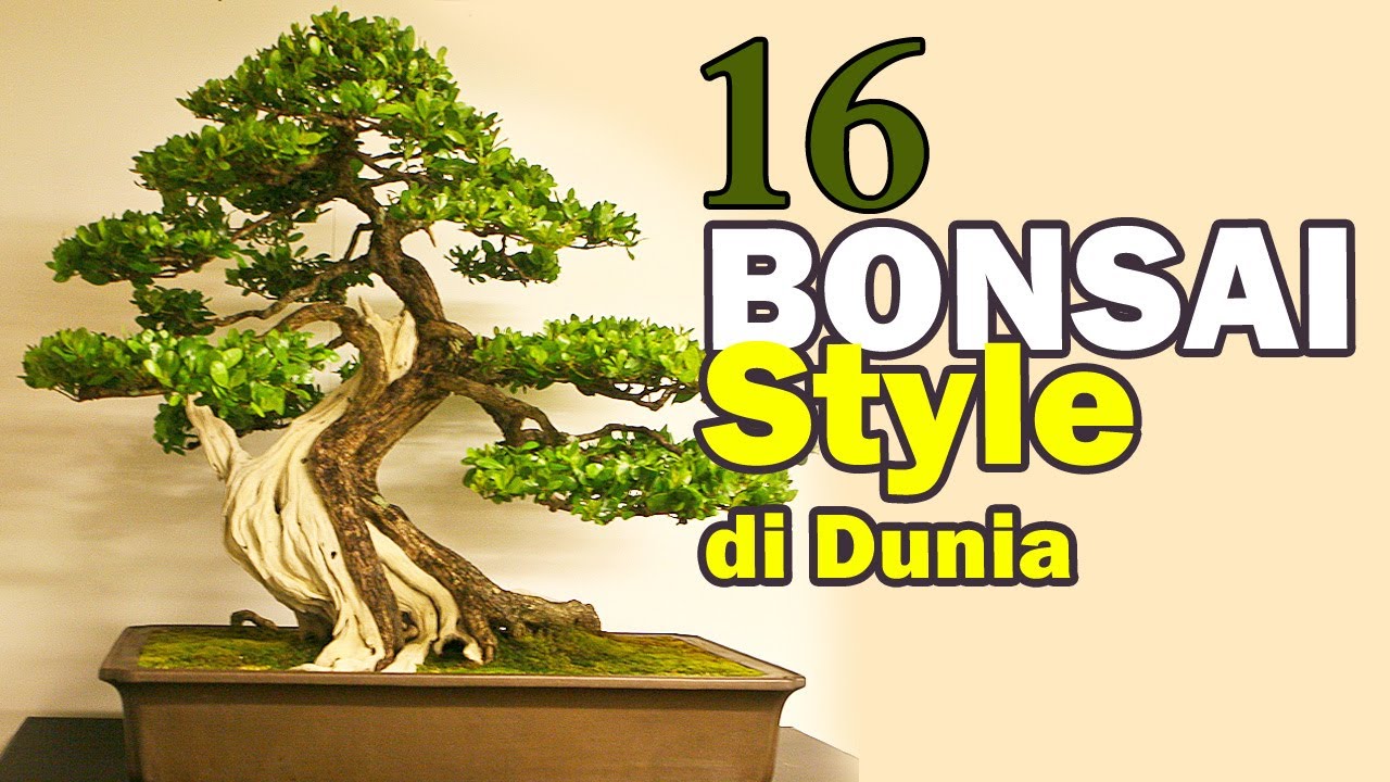 Detail Jenis Jenis Gaya Bonsai Nomer 14