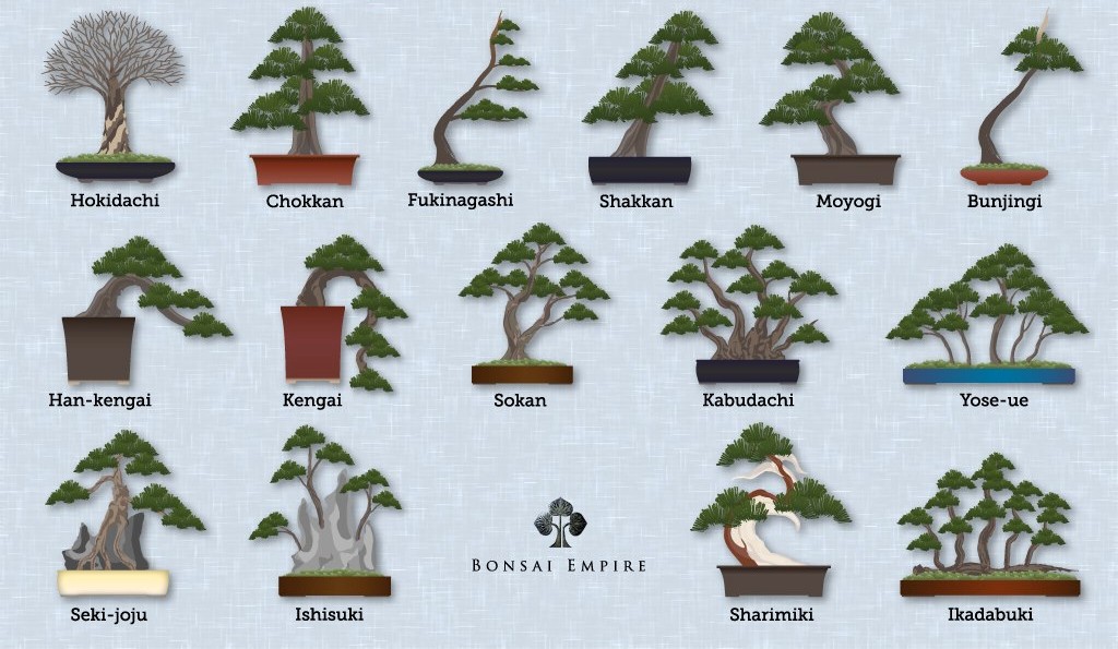 Detail Jenis Jenis Gaya Bonsai Nomer 27