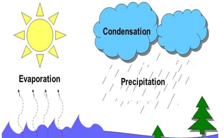 Detail Jenis Jenis Hujan Beserta Gambar Dan Penjelasannya Nomer 24
