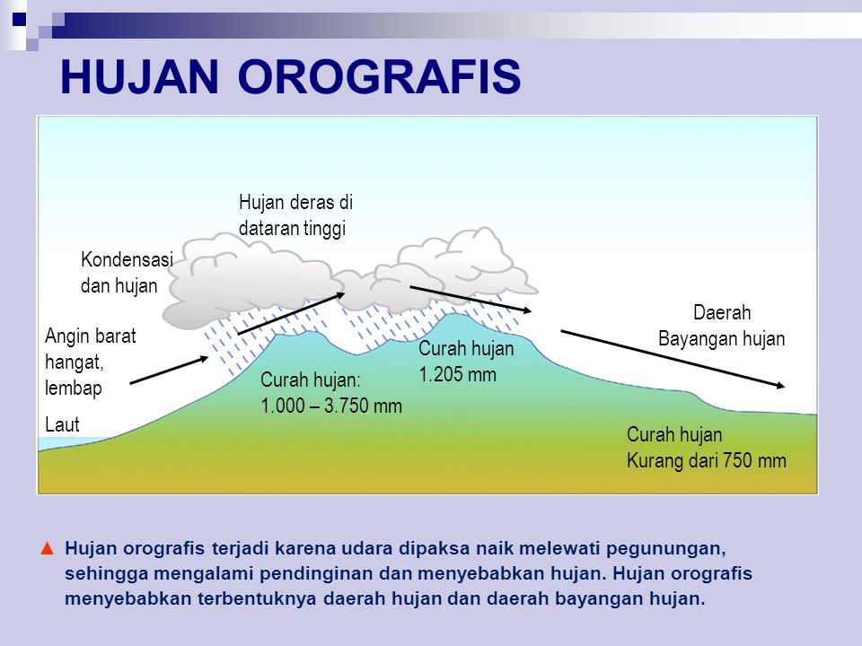 Detail Jenis Jenis Hujan Beserta Gambar Dan Penjelasannya Ilmu Geografi Nomer 15