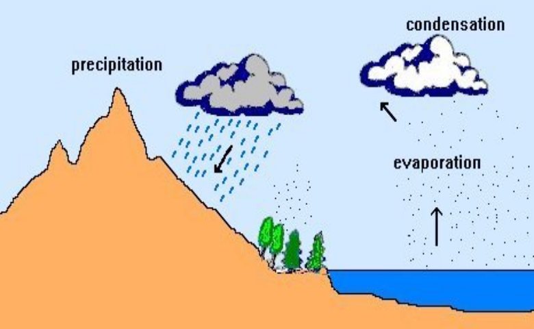 Detail Jenis Jenis Hujan Beserta Gambar Dan Penjelasannya Ilmu Geografi Nomer 41