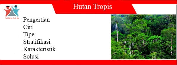 Detail Jenis Jenis Hutan Hujan Tropis Beserta Gambar Nomer 44