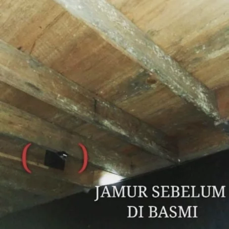 Detail Jenis Kayu Yang Cocok Untuk Sirip Rumah Walet Nomer 33