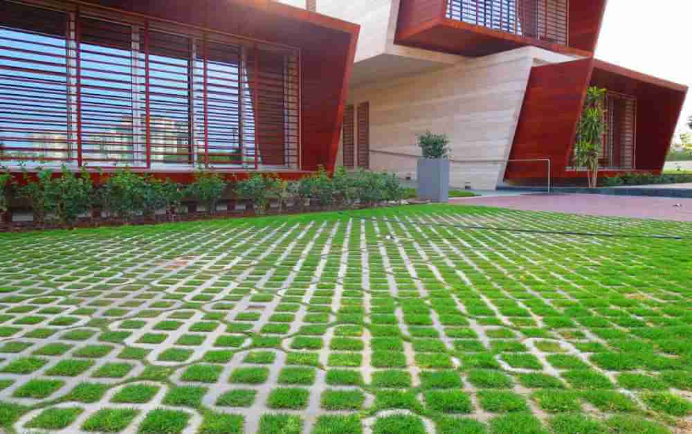 Detail Jenis Rumput Untuk Grass Block Nomer 9