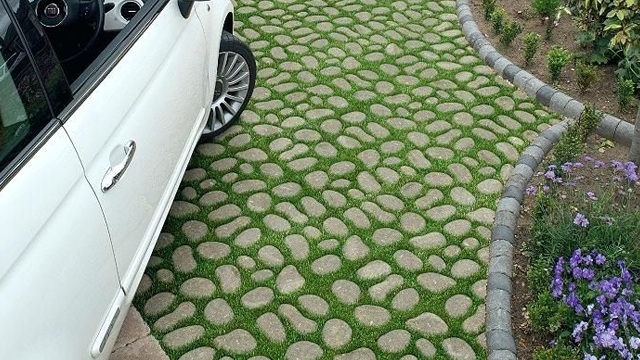 Detail Jenis Rumput Untuk Grass Block Nomer 10