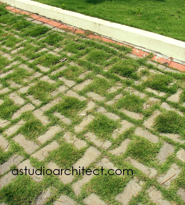 Detail Jenis Rumput Untuk Grass Block Nomer 23