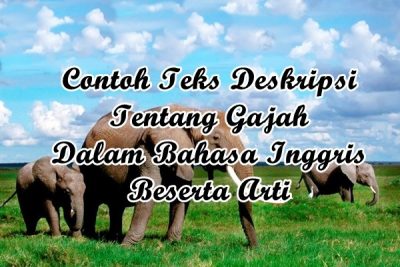 Detail Jerapah Bahasa Inggris Nomer 31