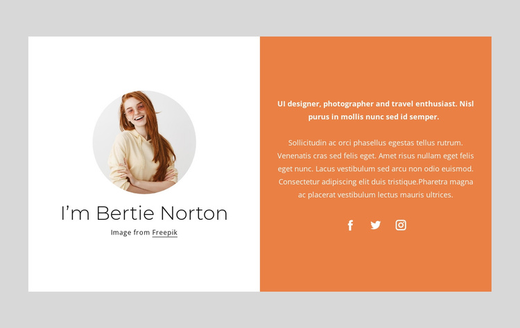 Detail Joomla Template Developer Nomer 34