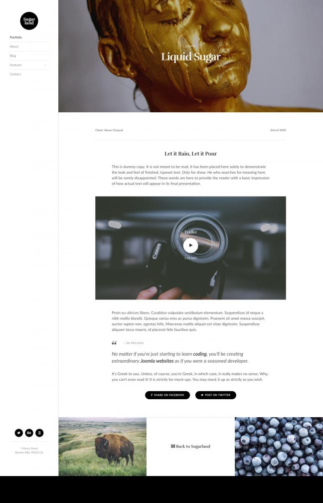Detail Joomla Template Developer Nomer 41