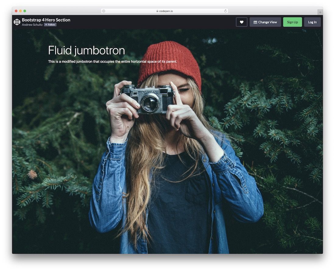 Detail Jumbotron Bootstrap Template Nomer 43