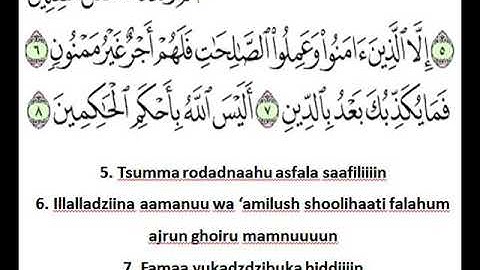 Detail Jumlah Ayat Surat At Tin Nomer 44