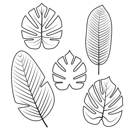 Detail Jungle Leaf Template Nomer 18
