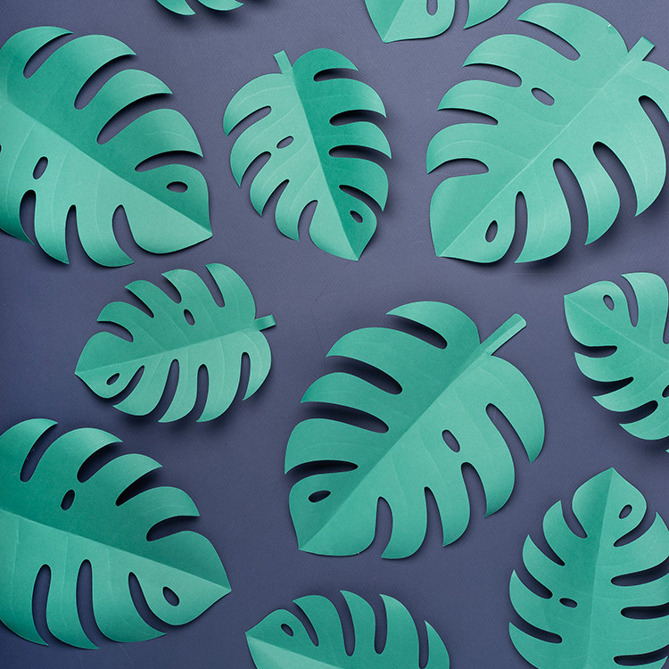 Detail Jungle Leaf Template Nomer 28