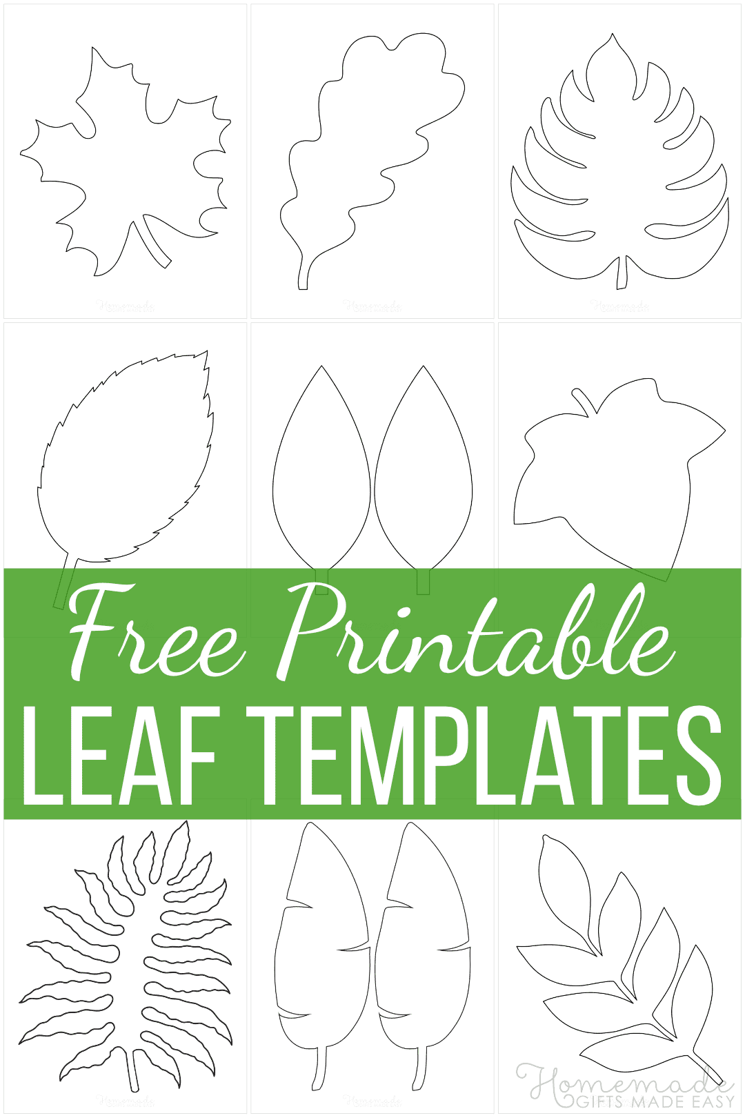 Detail Jungle Leaf Template Nomer 30