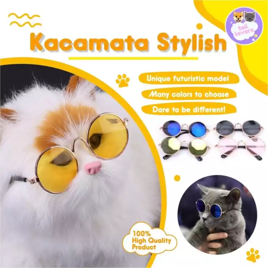 Detail Kacamata Untuk Kucing Nomer 20