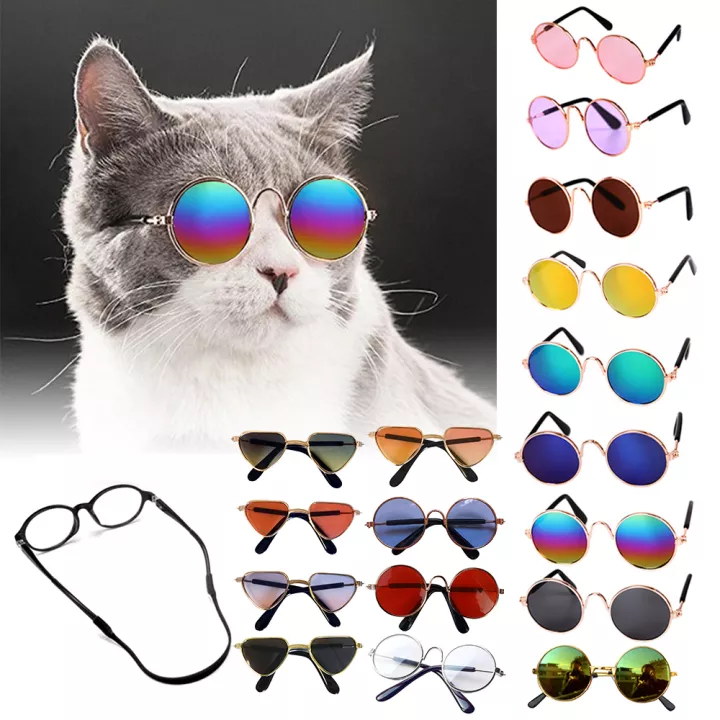 Detail Kacamata Untuk Kucing Nomer 39