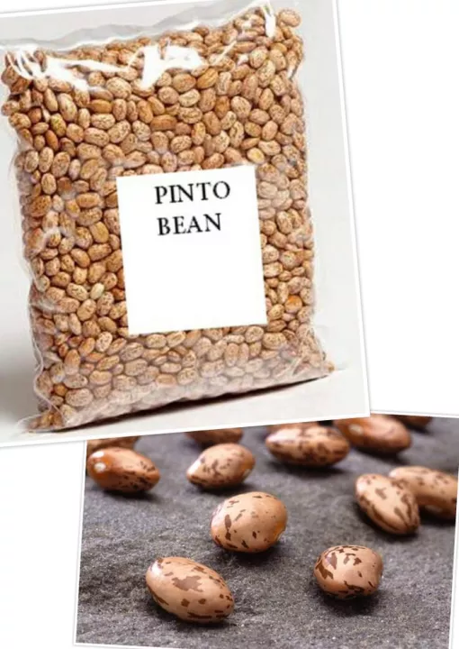 Detail Kacang Pinto Adalah Nomer 21