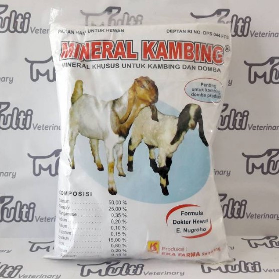 Detail Kambing Makan Apa Nomer 38