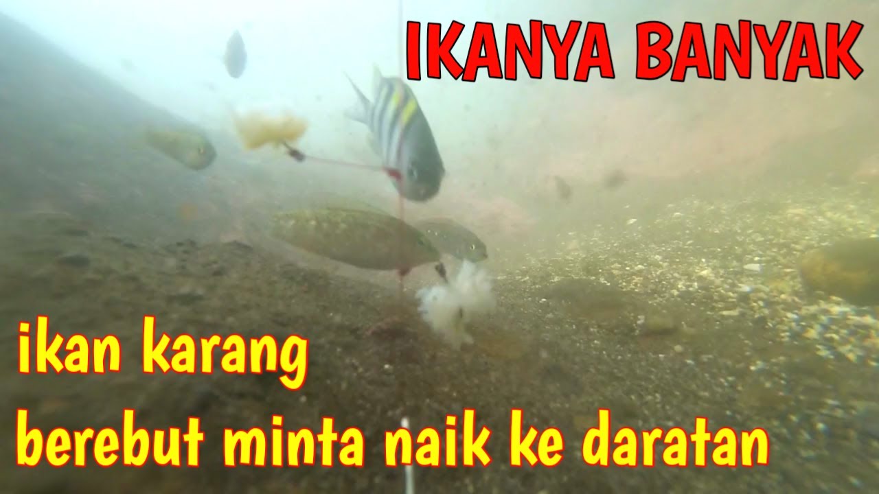 Detail Kamera Bawah Air Untuk Mancing Nomer 36