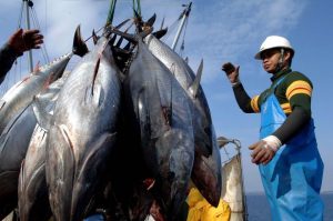 Detail Kapal Ikan Jepang Nomer 35