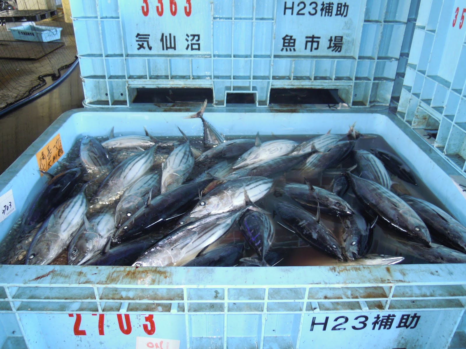 Detail Kapal Ikan Jepang Nomer 38