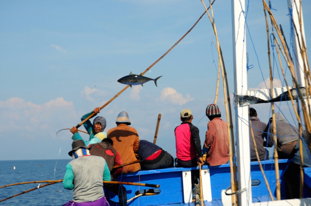 Detail Kapal Pancing Ikan Nomer 29