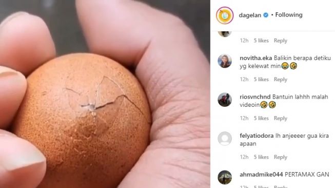 Detail Kapan Telur Ayam Menetas Nomer 15