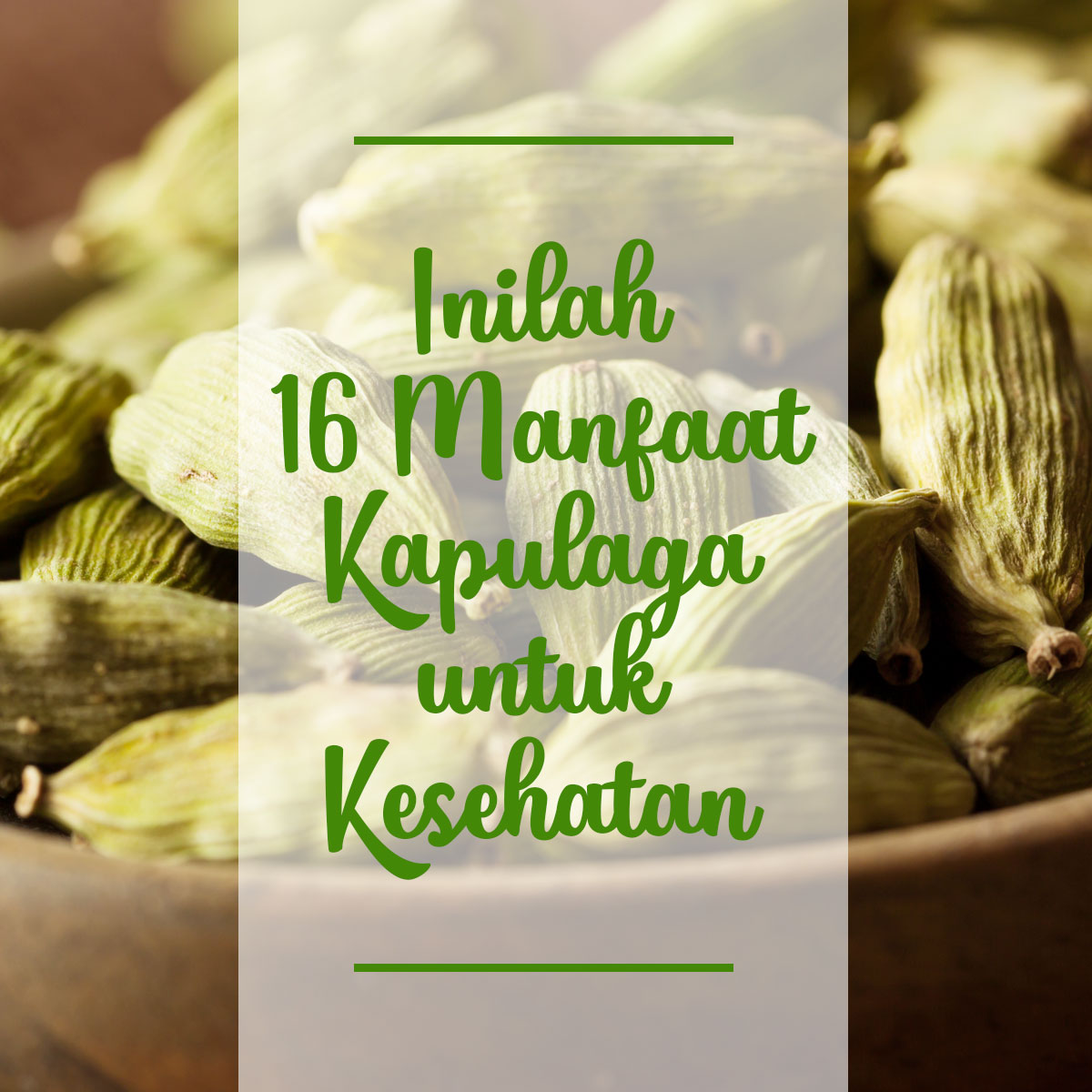 Detail Kapulaga Untuk Masak Apa Nomer 36