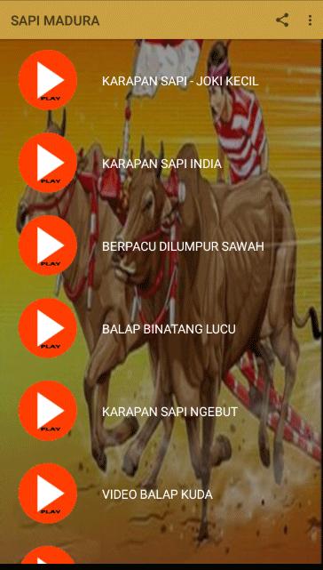 Detail Karapan Sapi Png Nomer 42