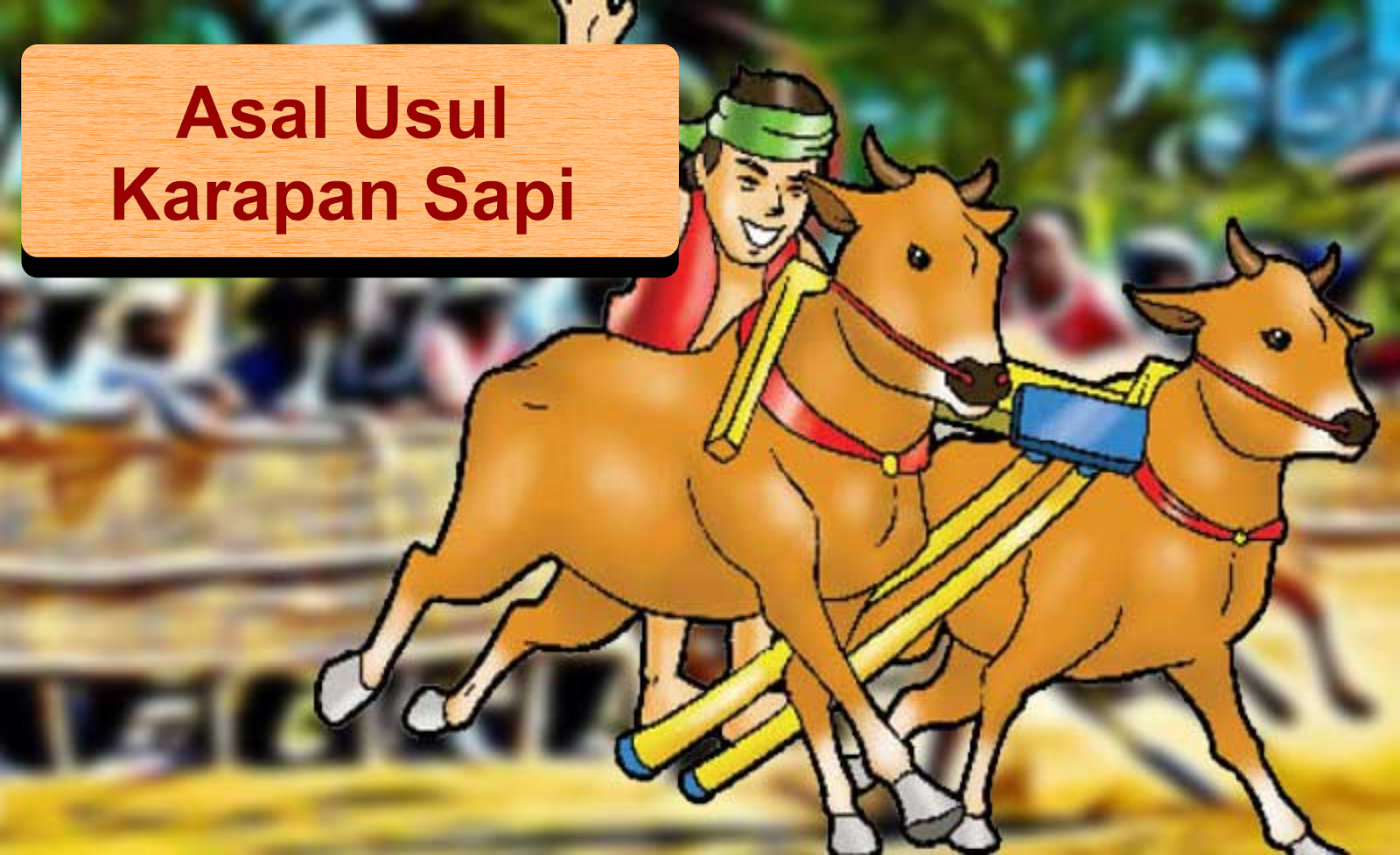 Detail Karapan Sapi Wallpaper Nomer 47