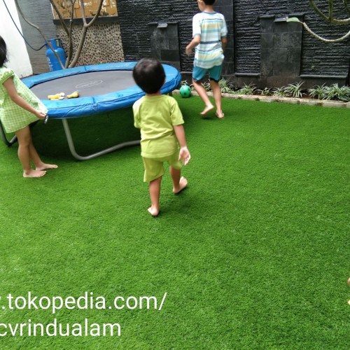 Detail Karpet Rumput Untuk Rumah Nomer 17