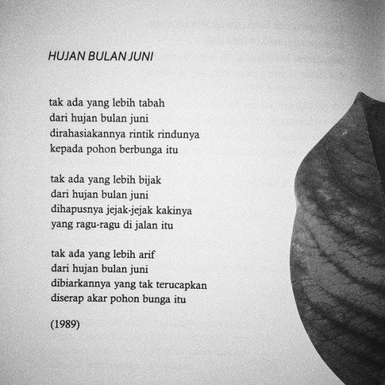 Karya Puisi Sapardi Djoko Damono - KibrisPDR