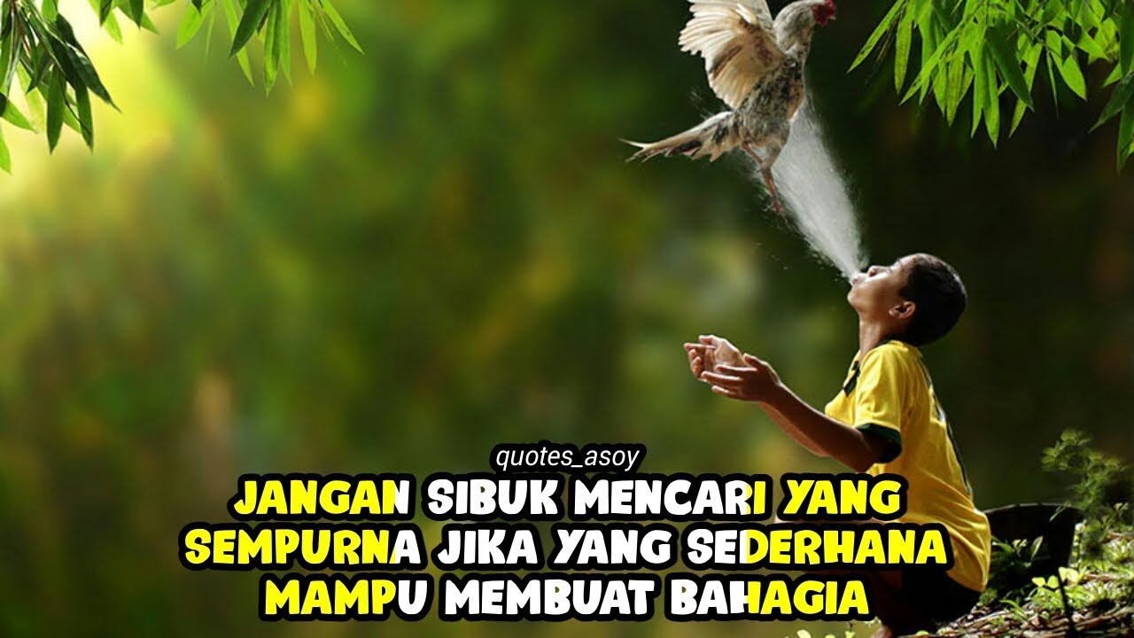 Detail Kata Kata Bijak Untuk Quotes Nomer 11