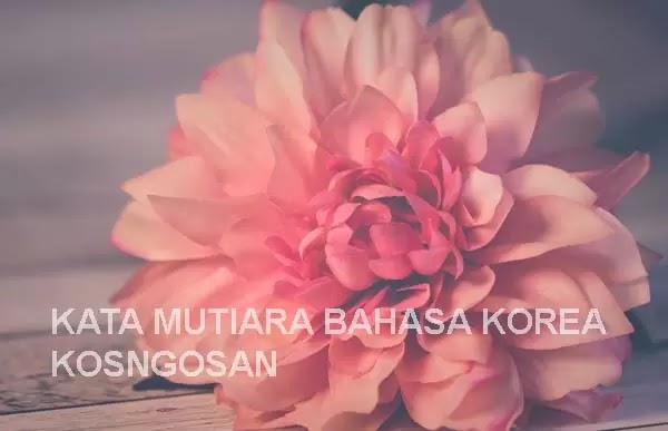 Detail Kata Kata Galau Bahasa Korea Dan Artinya Nomer 10