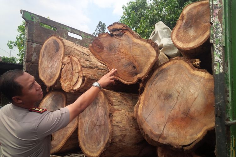 Kayu Jati Banyak Dimanfaatkan Untuk Alat Alat Rumah Tangga Karena - KibrisPDR