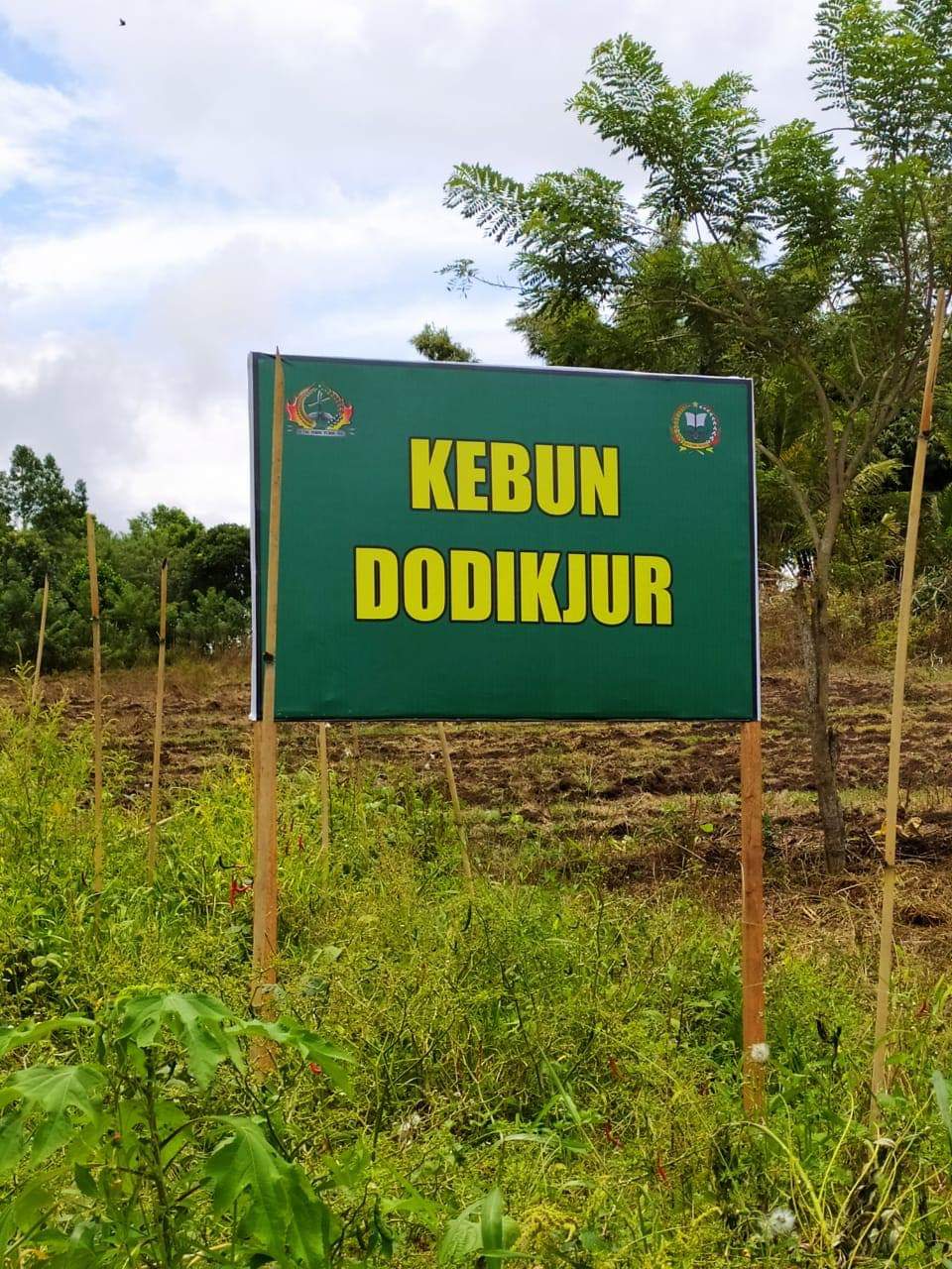 Detail Kebun Kapas Di Indonesia Nomer 46
