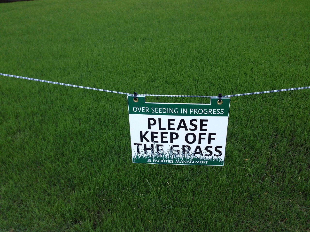 Detail Keep Off The Grass Nomer 19