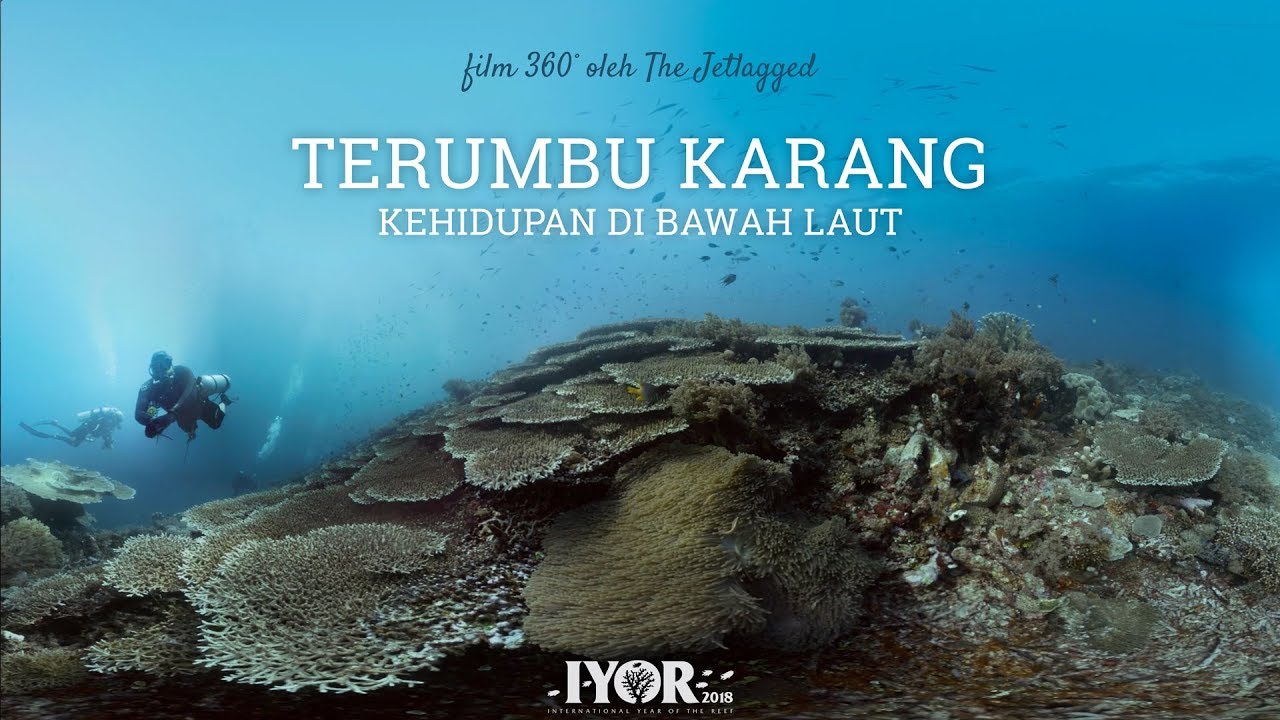 Detail Kehidupan Bawah Laut Nomer 12