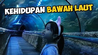 Detail Kehidupan Bawah Laut Nomer 28