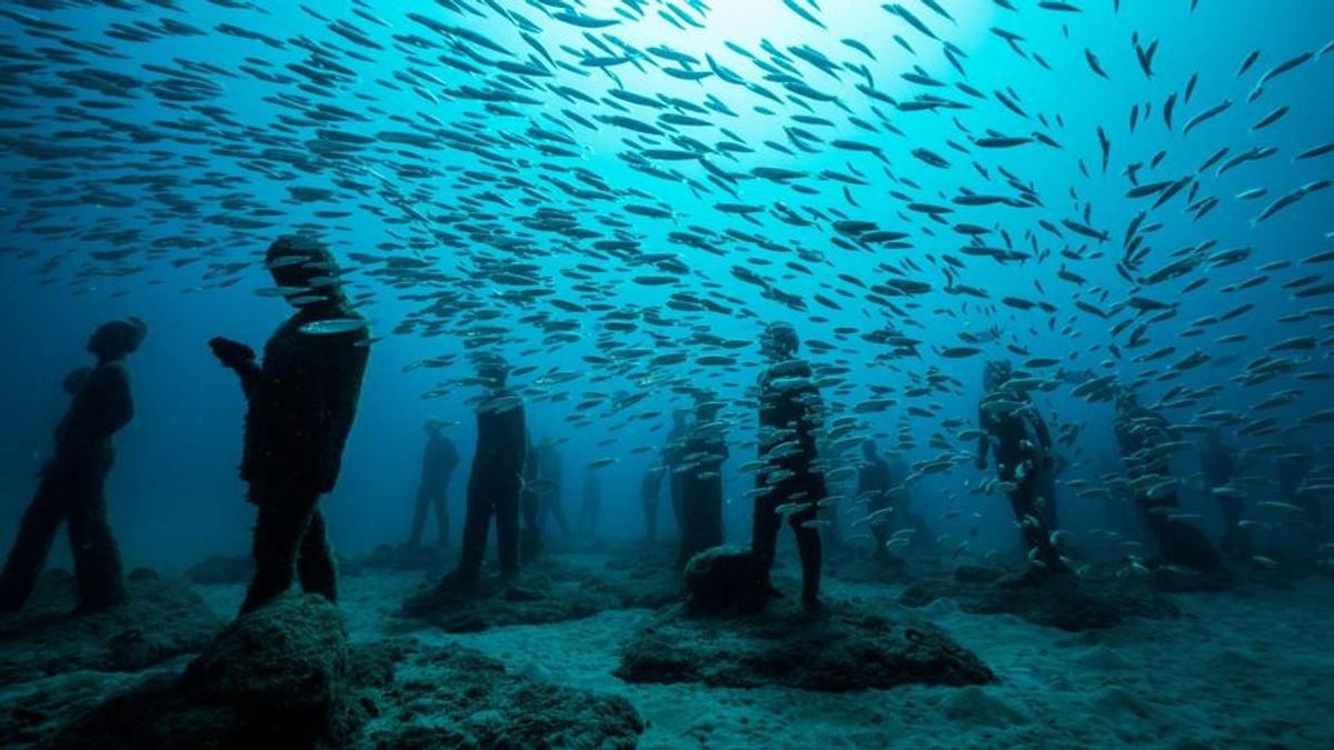 Detail Kehidupan Bawah Laut Nomer 6